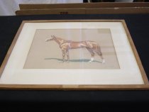 Chalk Pastel Drawing of Horse