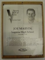 Joe Marvin