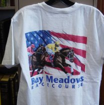 2010.013 t-shirt back