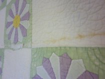 Dresden Plate Variation Quilt Detail