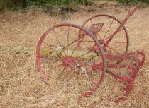 Morning Glory Cutter