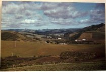 1985 San Gregorio from Old Stage Road by Frank Spadarella