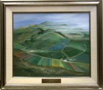 1986 Half Moon Bay Commercial Flower Fields by Elizabeth Cassidy