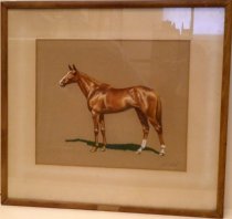 Chalk Pastel Drawing of Horse by Thad Leland