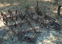 "Buckeye" Spring-tooth Harrow