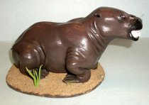 Paleoparadoxia Model, c. 1964-1965