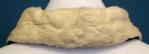 Ermine Collar