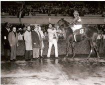 Calif Juvenile Stakes  Knightly Dawn  12 16 1972