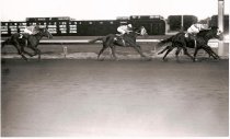 San Mateo Stakes  9th Running  Ocala Boy  12 2 1972