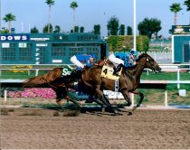 Calif Sprint Championship - Big Jag - 10-2-1999