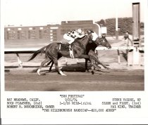 Hillsborough Hndcp  Sun Festival  9  21  1974