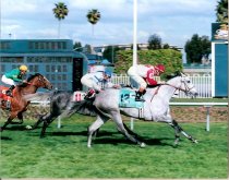 Miss America Handicap - 4-8-2001 -alexine