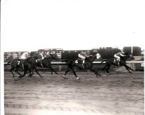 Paso Robles Handicap 11th Running Fast Fellow 11-18-1972