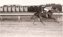 3rd Running Santa Clara Handicap  Maronee 11 4 1972
