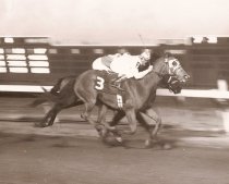 Monterey Penninsula 11-22