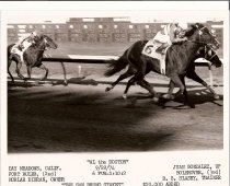 San Bruno Stakes - All The Doctor - 9-28-1974
