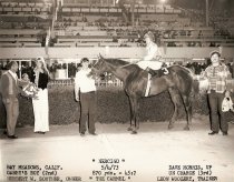 Mercino The Carmel 5 4 1973