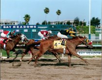 Takin It Deep Calif Derby  4  14  2001