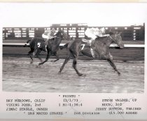Printo San Mateo Stakes 12 1 1973