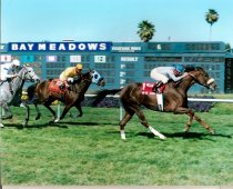 Show Me Genius Palo Alto Hndcp 6 2 2001