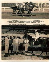 Slender In Winners Circle