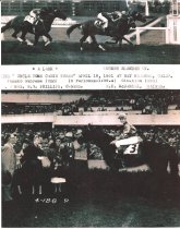 Tucker Slender Jockey 1951