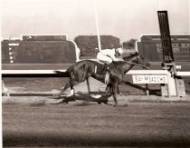 San Bruno Stakes   Battle Brush 10-5-1972