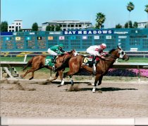 Sunnyvale Hndcp - Brite Girl - 6-3-2001