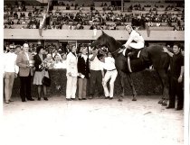 Carmel Handicap  Market Again  12 23 1972