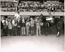 Palo Alto Stakes First Running Shiri Furi  10  28  1972