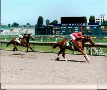 Simply Brilliant Atherton Stakes - 4  15  2001