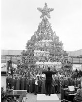Singing Christmas Tree at Hillsdale Shopping Center in San Mateo