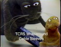 Still from MP4 "The Raychem Seals"