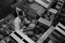 Joseph Tarantino at Golden Gate Produce Terminal in South San Francisco, Ap