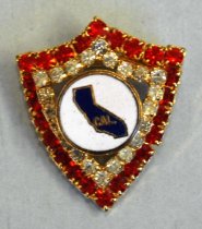 California Pin