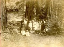 Group Posing with Redwood Trees.