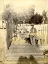 Building Wooden Walk to School, c. 1880-1890