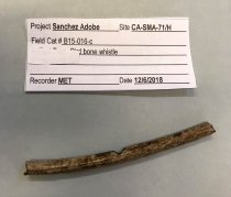 Cast of c. 1485-1780 Bird Bone Whistle, 2019