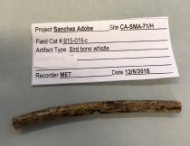 Cast of c. 1485-1780 Bird Bone Whistle, 2019