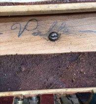 Accordion used by Sagredo Rodolari