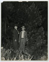 Untitled [Men with Marijuana Plants], August 9, 1947
