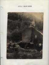 Fallen Redwood, c. 1880-1900