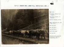 Saunders Brothers Lumber Mill, Tunitas Gulch, 1884