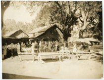 Garden Club Exhibit, Old Tripp Store, July 1931