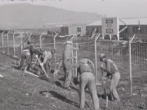 Untitled [WPA Projects], 1939