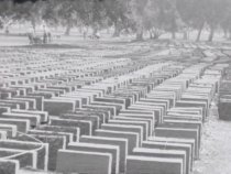 Untitled [WPA Projects], 1939