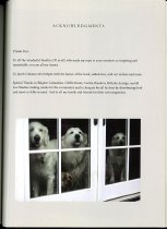 A Window Into a Changed World