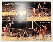 Brown Jordan World Cup Volley Ball on Masonite, 1989