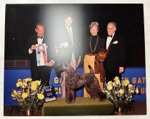 Black dog Recieving "Best in Show" at the Golden Gate Kennel Club Dog Show