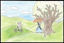 2023.054.004 - Trees in San Mateo County